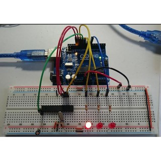 Dây cắm test board đực - đực 10cm (bus 40 sợi)