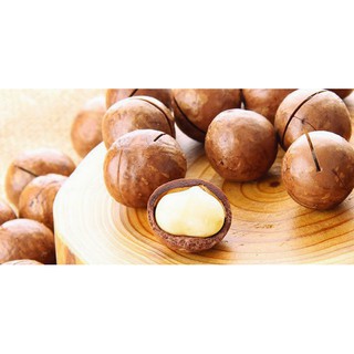 Hạt mắc ca nứt vỏ úc 500gr