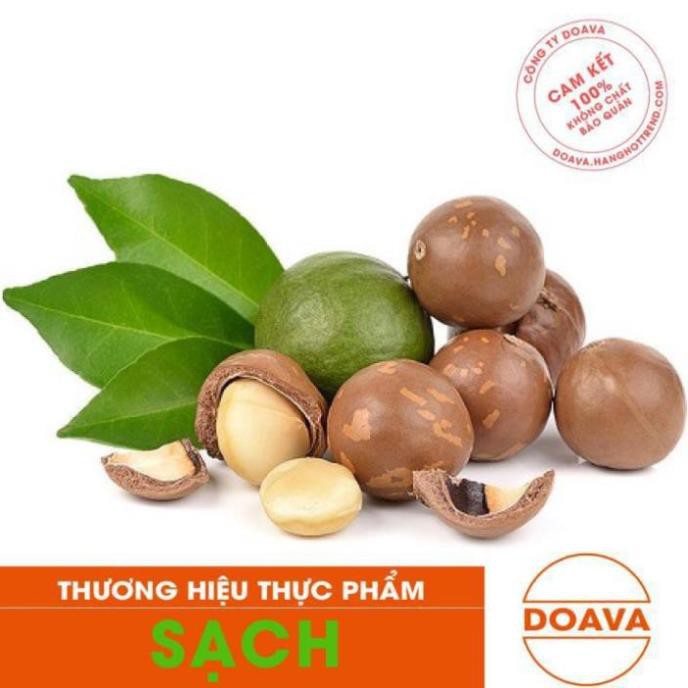Hạt Macca Nứt Vỏ 500g  - Macadamia, Mắc Ca Loại 1 - DAV024