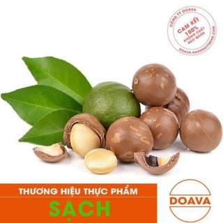 Hạt macca nứt vỏ 500g - macadamia, mắc ca loại 1 - dav024