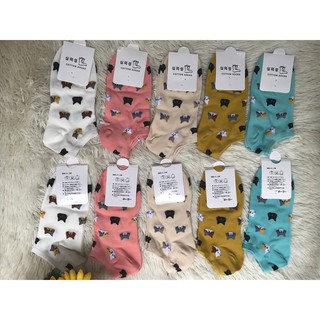 TẤT MÈO NHÍ tag mác Hàn