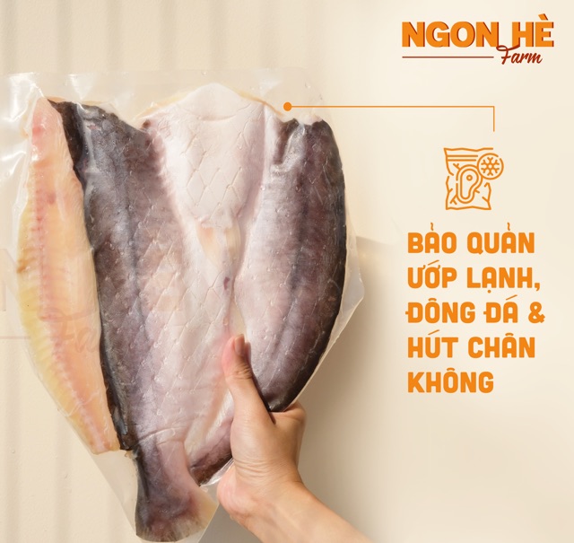 [HÀNG GIAO LIỀN] Khô Cá Dứa một nắng Cần Giờ chắc thịt, vừa miệng (600g - 1kg)