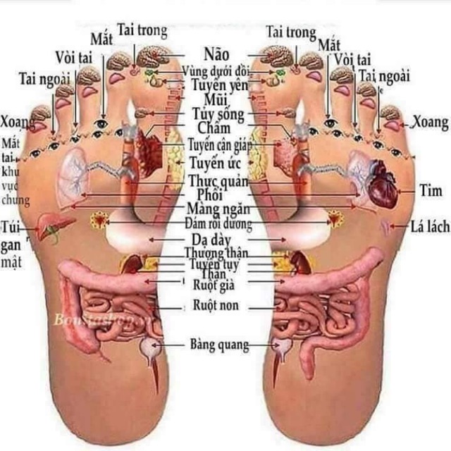 Thảo mộc ngâm chân