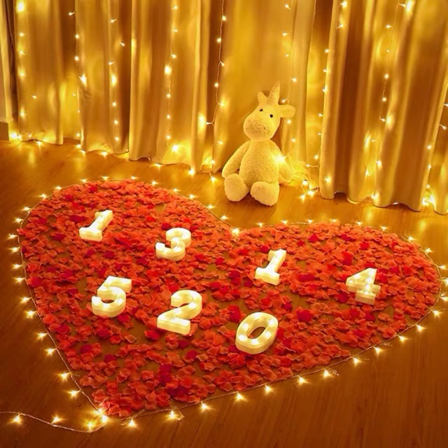 Đèn Led Trang Trí Sinh Nhật Trang Trí Phòng Cưới 5m