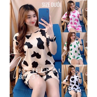 Đồ bộ thun đùi mặc nhà hình bò sữa size dưới 48kg