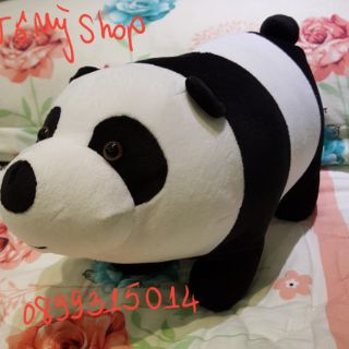 Gấu bông anh em nhà gấu