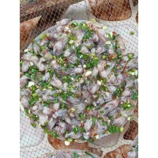 Bánh tráng râu mực