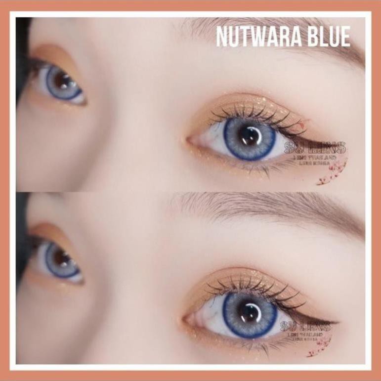 NUTWARA BLUE [ mini xanh dương - Lens Tây ]