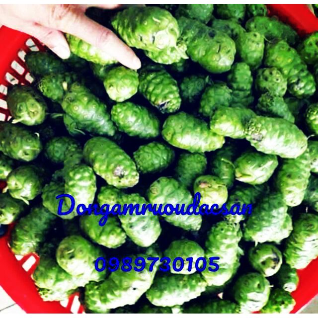 10kg nhàu khô loại to đều khô sạch xuất sứ Ninh Thuận