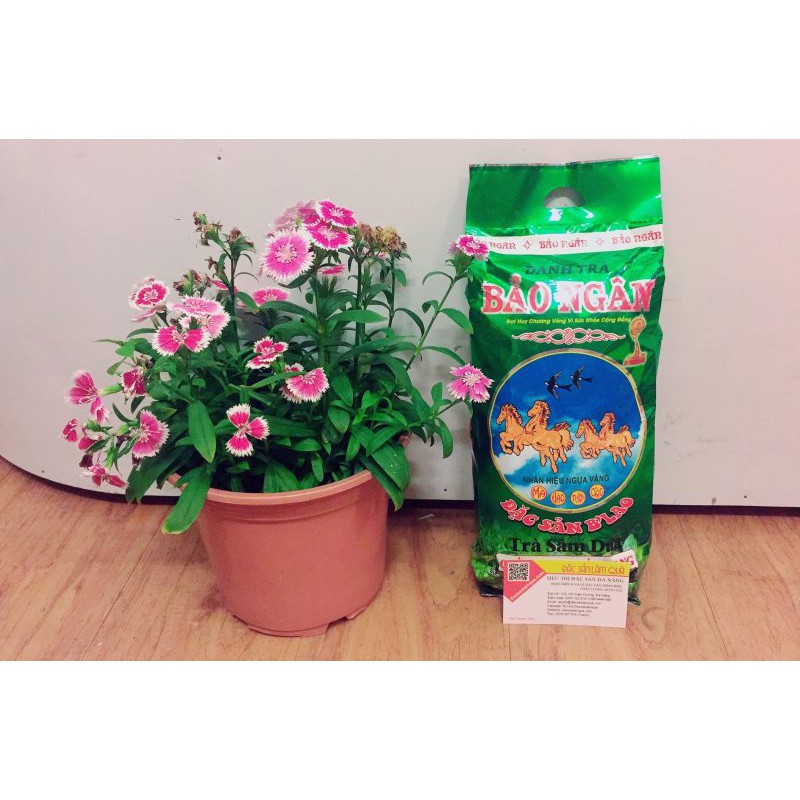 [Mã 267FMCGSALE giảm 8% đơn 500K] Trà Sâm Dứa Bảo Ngân 350g - Trà Sâm Dứa Đà Nẵng - Kho pha chế Đà Nẵng | BigBuy360 - bigbuy360.vn