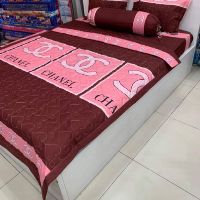 Sét chăn gra gối Gucci