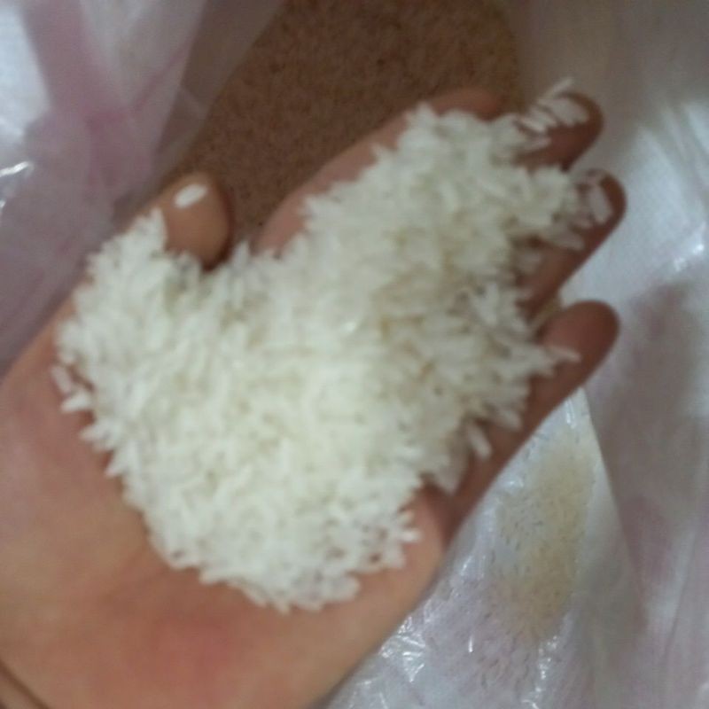 10kg gạo tám điện biên