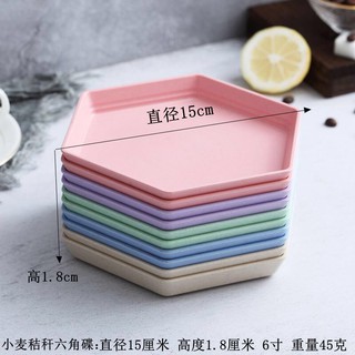 ĐĨA LÚA MẠCH HÌNH LỤC GIÁC SIÊU XINH