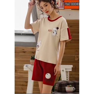 Size L, XL (45Kg - 60kg) - Đồ Bộ Thun Cotton Quần Ngắn - Hàng Quảng Châu - Mặc Mát