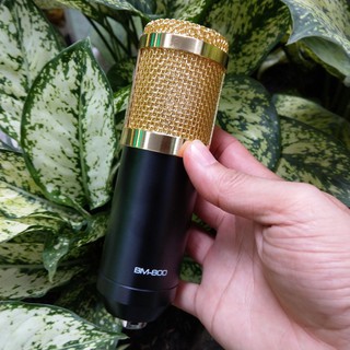 Bộ Micro Karaoke thu âm BM 900