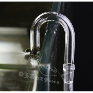Bộ cốc sủi CO2 thủy tinh- MUFAN