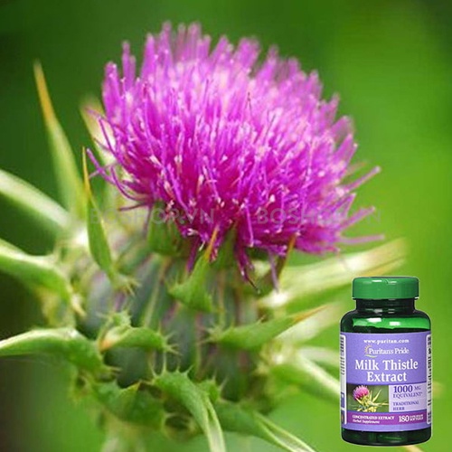 Viên uống bổ gan, thải độc Puritan's Pride Milk Thistle Extract 180 Viên của Mỹ