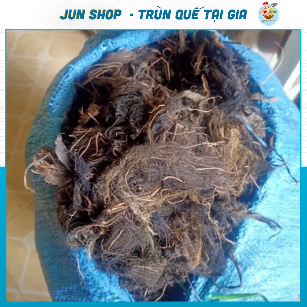 100G Rễ bèo tây - Rễ cây lục bình- Dùng để chiết cành -Ra rễ tuyệt đối