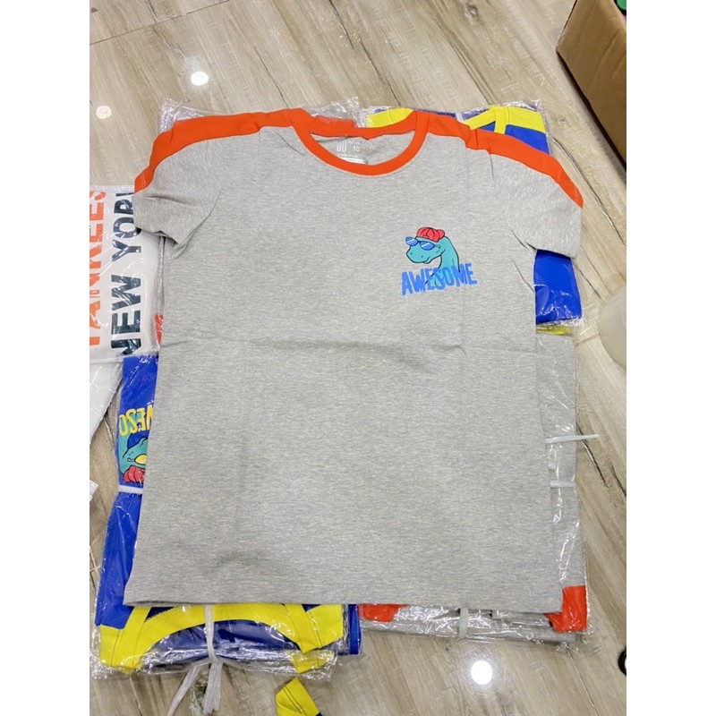 Áo Thun cotton cho bé trai 8-35kg hình khủng long