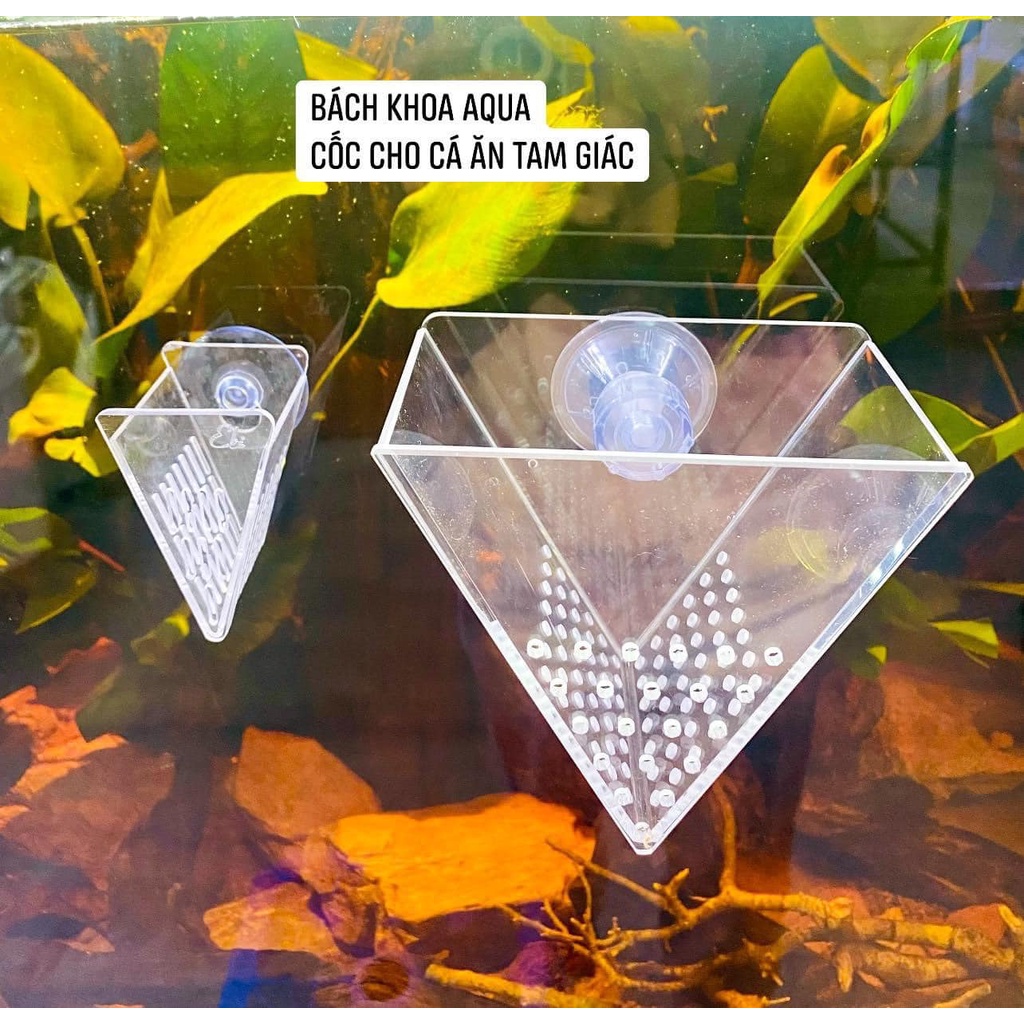 Chõ tam giác đựng giun đủ size cho cá