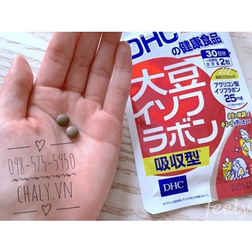 Viên uống mầm đậu nành điều hoà nội tiết sinh lý DHC Soy Isoflavone Absorption Type 40 viên Nhật