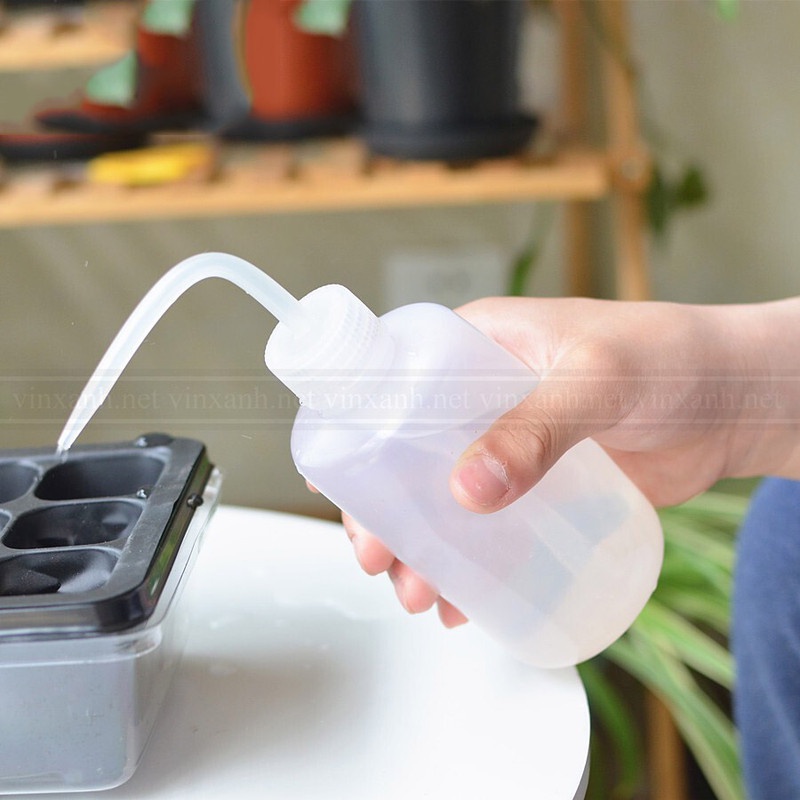 Bình tưới nước vòi cong dành cho sen đá, xương rồng đa năng
