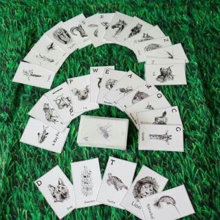 Bộ thẻ animal 4d
