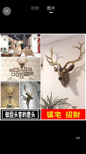Đầu hươu nhất lộc 186