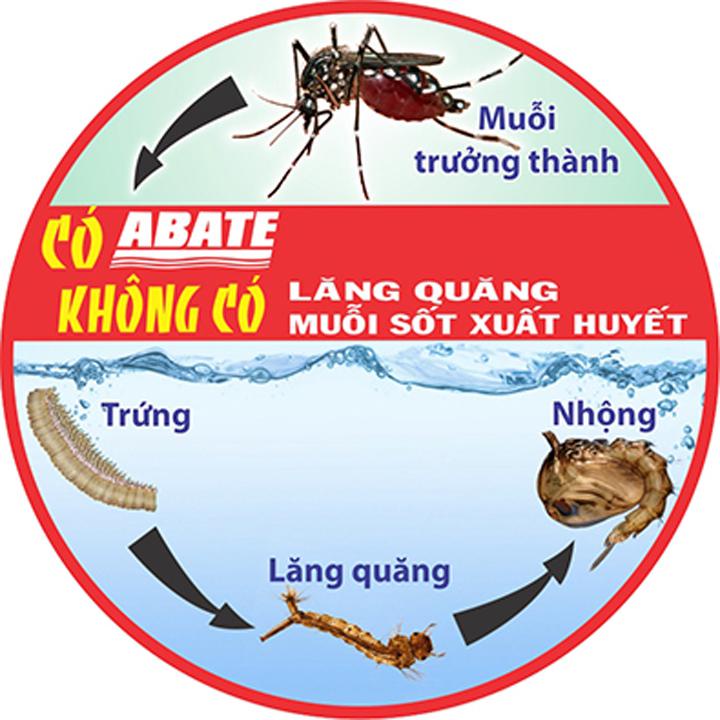 Thuốc diệt muỗi, bọ gậy lăng quăng ABATE 100gram