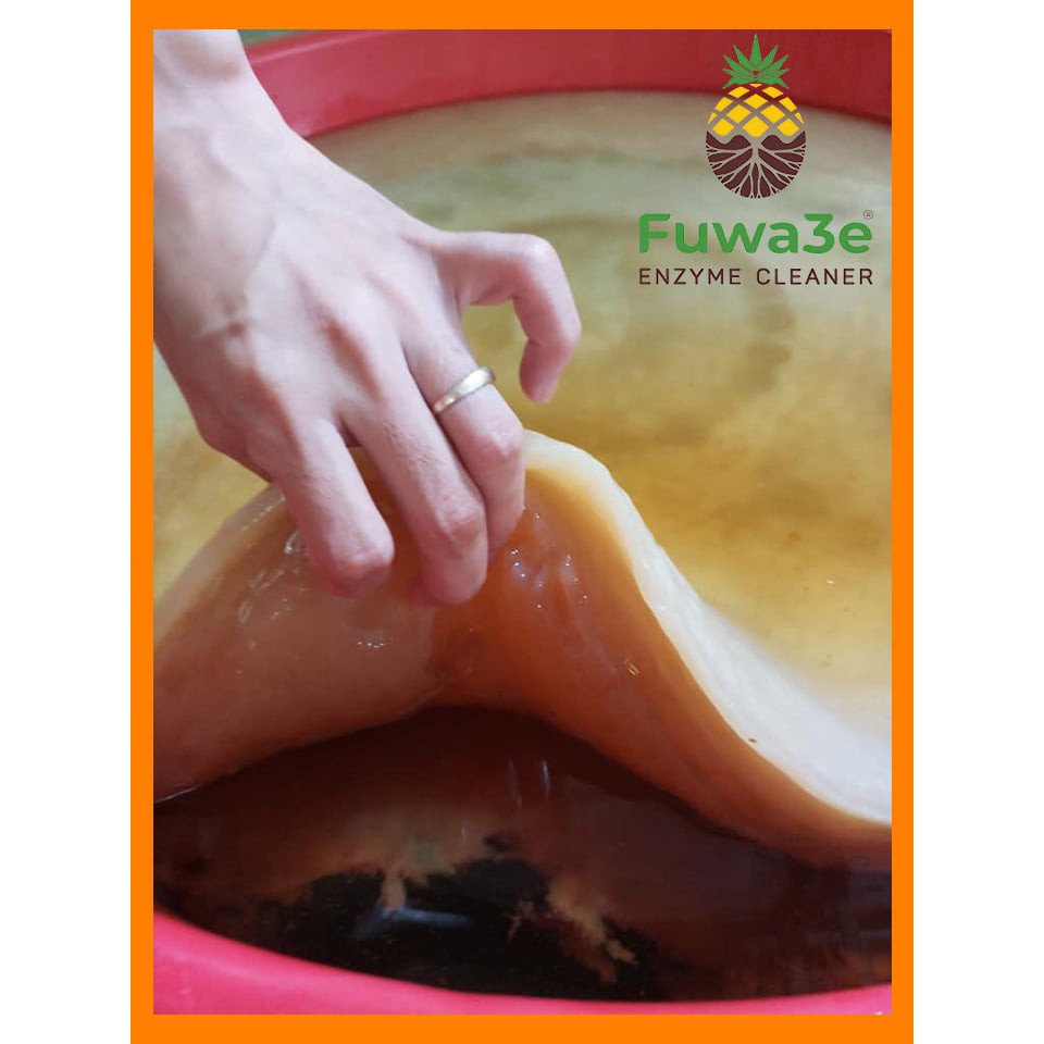 Nước rửa chén Fuwa3e hữu cơ 90% enzym từ vỏ dứa cam chanh bưởi an toàn cho bé, chăm sóc da tay cho mẹ can lớn 3.8 lít