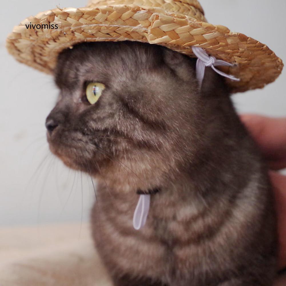 Nón cói rộng vành xinh xắn dành cho thú cưng
