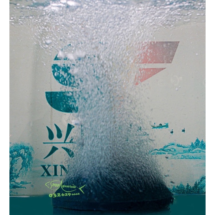 Đĩa sủi oxy bánh bao