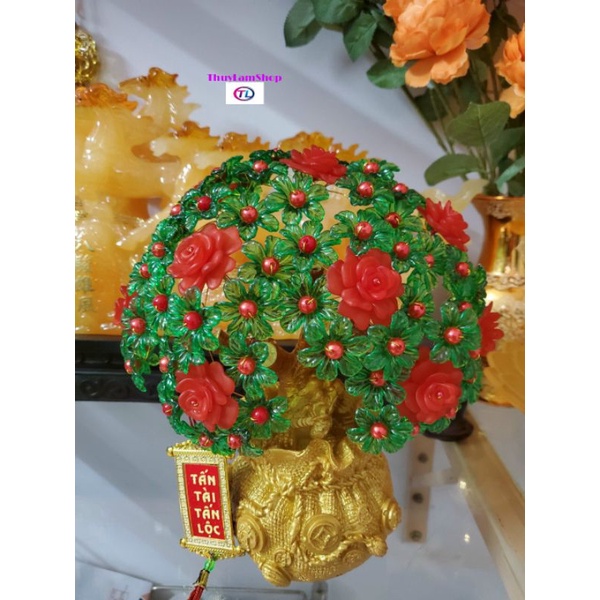 Cây cành vàng lá ngọc gốc túi tiền mic sẵn bông mai trưng ngày tết thu hút tài lộc