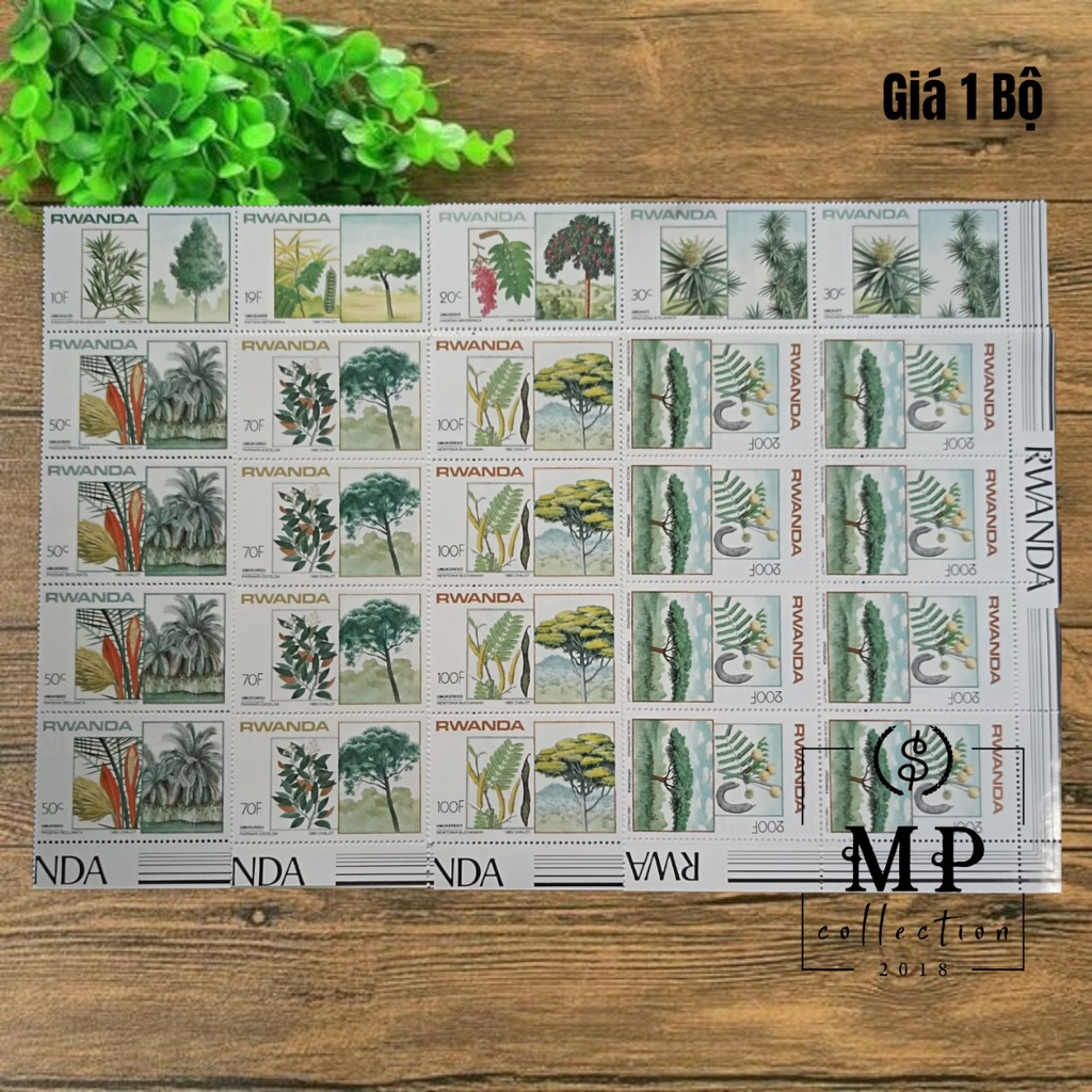 Bộ 8 tem hoa Rwanda 1983 sưu tầm