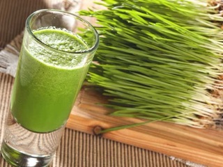 5kg lúa mì (lúa mạch) cho Gia Súc, Gia Cầm.