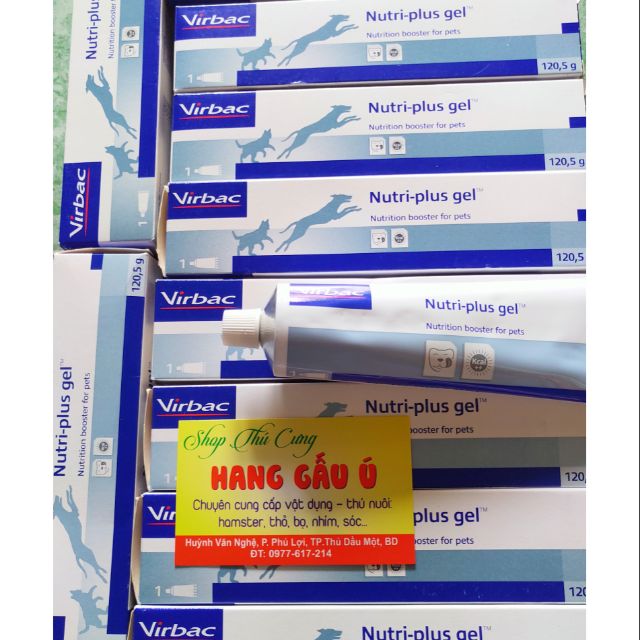 Gel dinh dưỡng Nutri Plus Virbac dành cho chó mèo