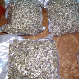 1kg hạt chùm ngây