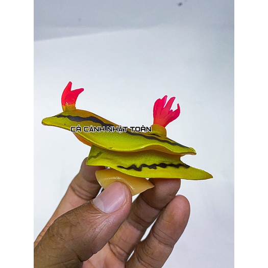 ÓC SÊN NHÂN TẠO TRANG TRÍ BỂ CÁ, TIỂU CẢNH 8CM