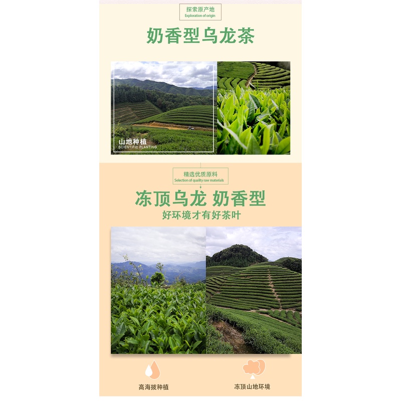 Trà ô long Đài Loan thơm hương sữa non hảo hạng (Gói 150 gram)