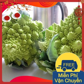 Combo 3 Gói Hạt Giống Súp Lơ San Hô