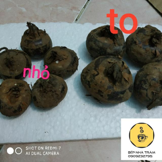 1kg củ năng tươi nấu chè, thạch củ năng (giá cả theo mùa)