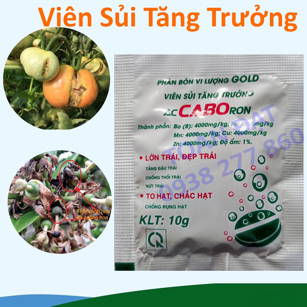 Canxi-Bo Chống nứt trái, Đậu Trái Tối Đa, phân bón siêu canxi Bo
