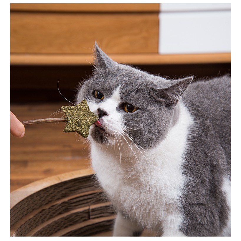 Que Catnip Cỏ Mèo Khô Hình Ngẫu Nhiên