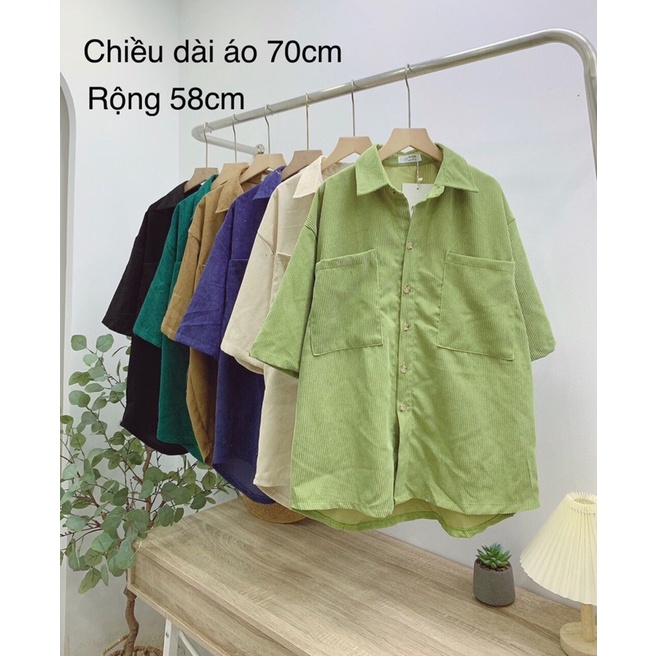 Áo sơ mi nhung tăm tay cộc,áo sơ mi nữ nhiều màu✅h203