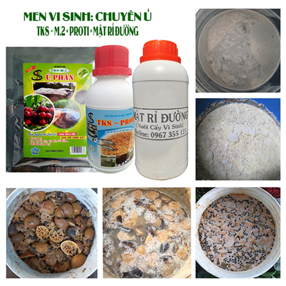 Bộ Men Vi Sinh Ủ Phân Cá, Bánh Dầu Làm Phân Hữu Cơ PROTI+TKS-M2: