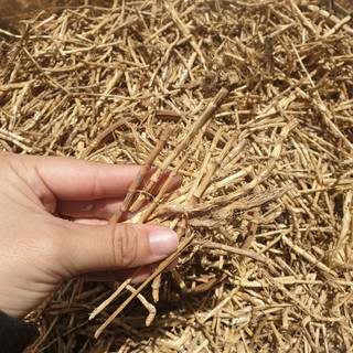 RỄ CỎ TRANH SẤY KHÔ (BẠCH MAO CĂN) TÚI 100GRAM