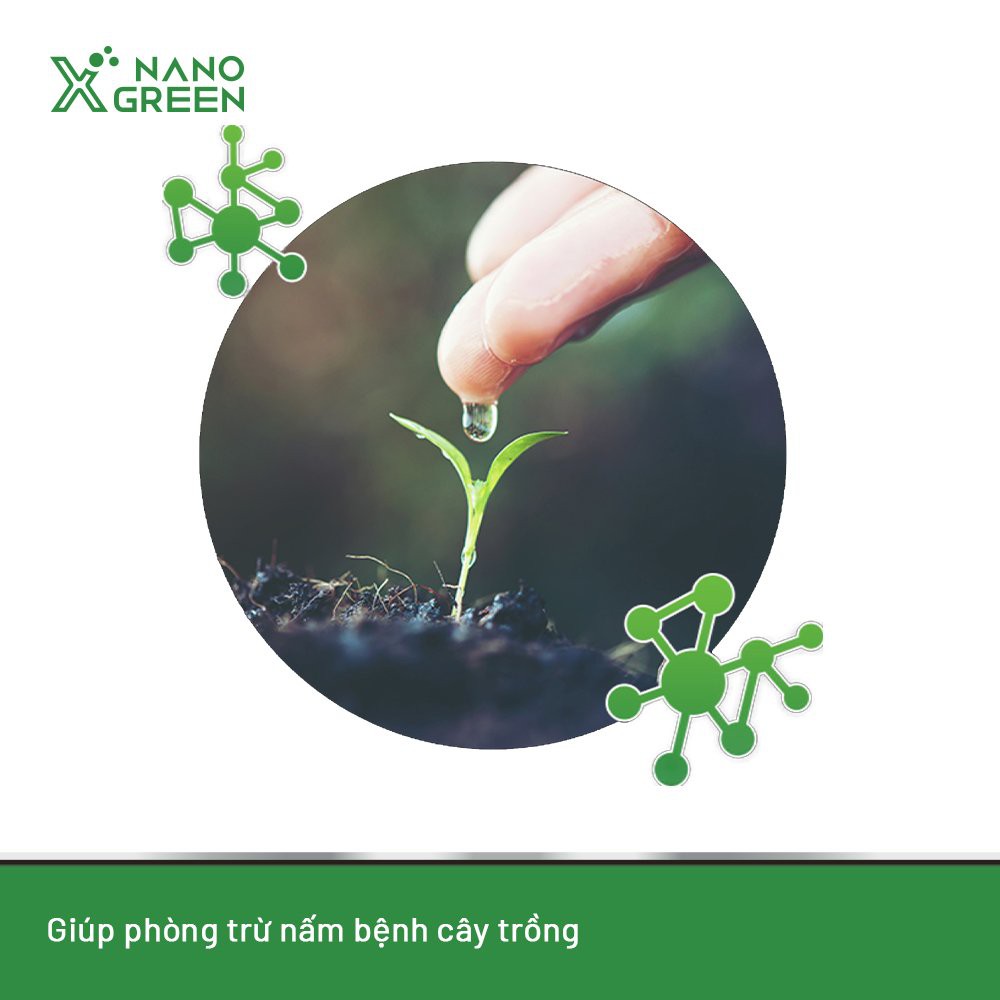 Nano kẽm (zn) Nano Xgreen cung cấp dưỡng chất ngừa rụng lá, rụng trái, vàng lá, bạc lá, lá bị biến dạng 1000ML