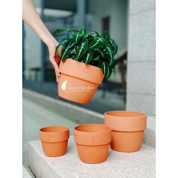 Chậu đất nung tròn gờ lớn envie vintage