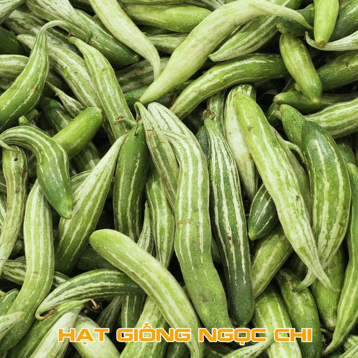 Hạt Giống Lặc Lày (Lặc Lè, Mướp Nhật) - 10 Hạt