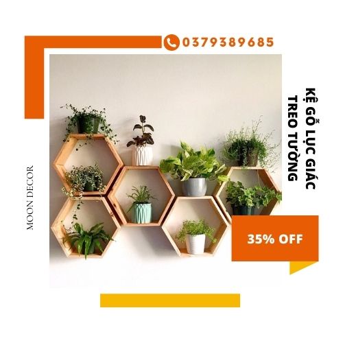 set 5 kệ lục giác trang trí treo tường kệ đựng đồ lưu niệm cây cảnh mini giá sách gỗ thông tự nhiên sơn PU